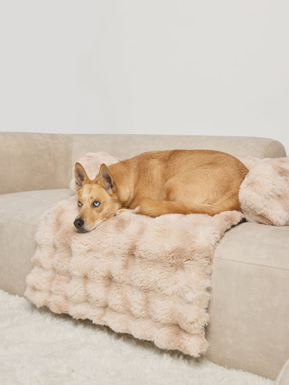 NuvoraPets® Dream Cloud Pet Blanket