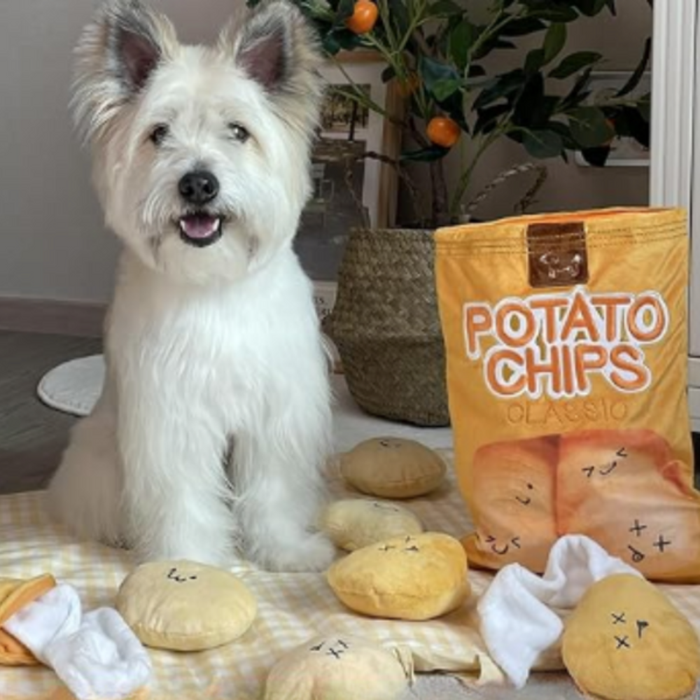 Nuvora Pets® - SnackyZak™ Snuffelspel