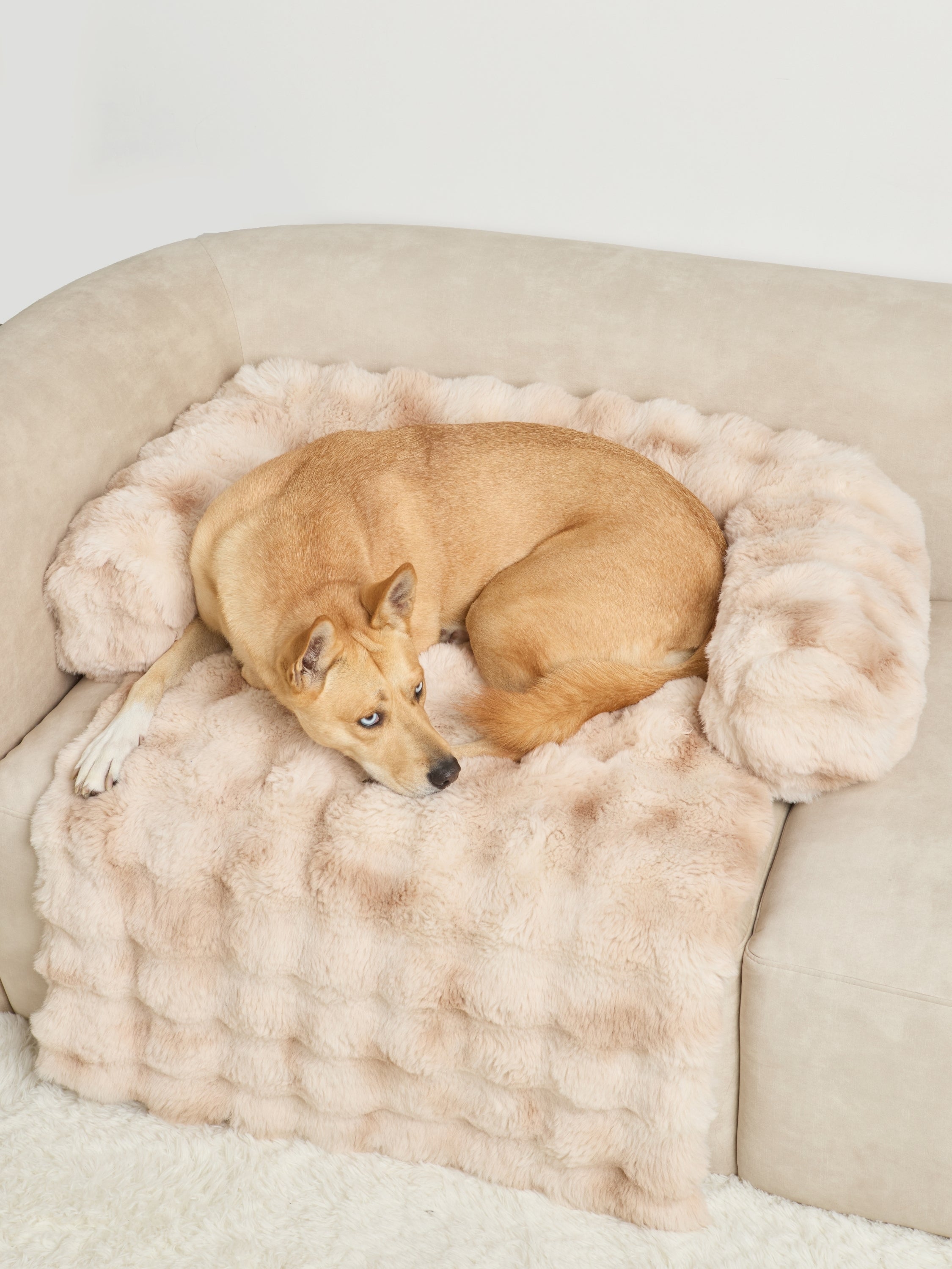 NuvoraPets® Dream Cloud Dierendeken