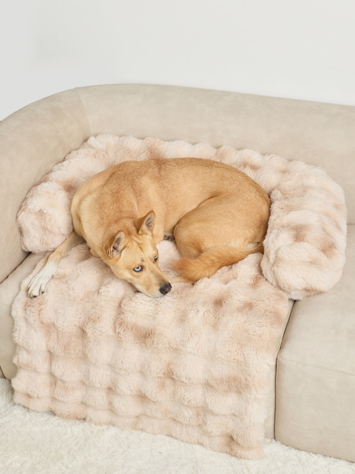 NuvoraPets® Dream Cloud Pet Blanket