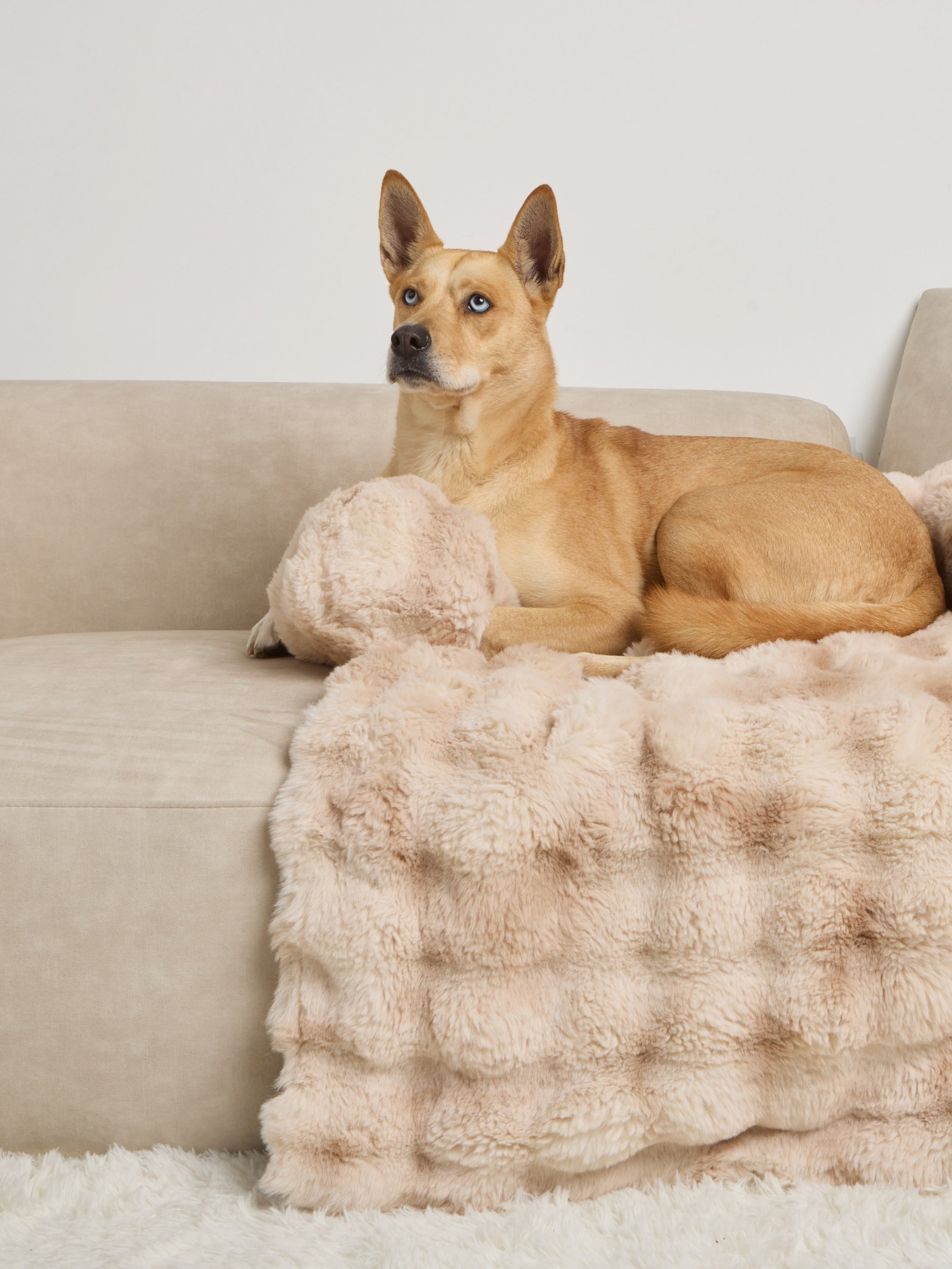 NuvoraPets® Dream Cloud Dierendeken