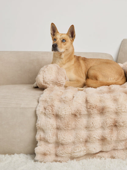 NuvoraPets® Dream Cloud Pet Blanket