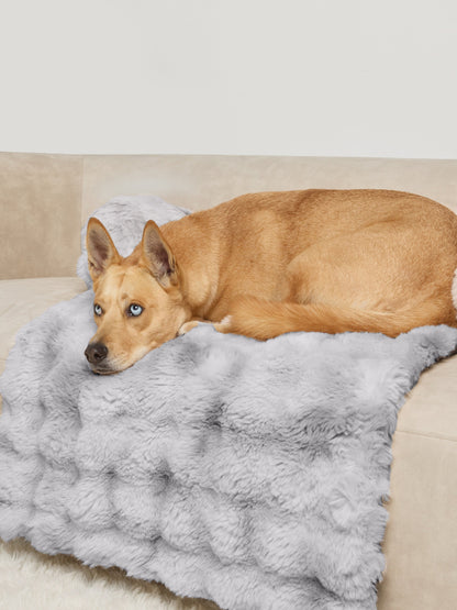 NuvoraPets® Dream Cloud Pet Blanket