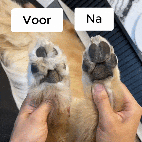 NuvoraPets® FurBlade Pro - Professionele Precisie Trimmer voor Huisdieren